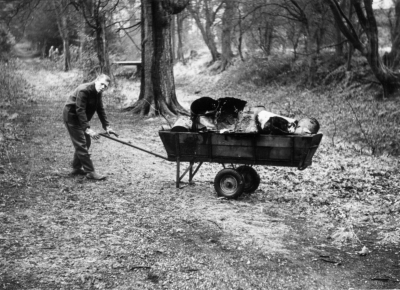 Clearing the old course of the New River, Gough Park, 1965
Keywords: litter;New River