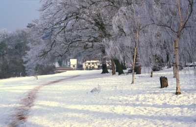Hillyfields in snow, 1991
Rose and Crown in the distance.
Keywords: parks;pubs