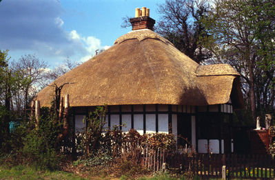 Rush Lodge, Theobalds Lane
Thatched cottage.
Keywords: houses;thatching