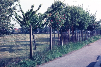 Johnson Matthey sports ground, Goldsdown Road, 1976
Keywords: 1970s;sports;trees;industry