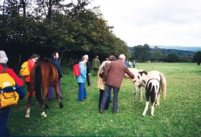 Hindhead, Surrey, 2nd October 1977
Keywords: horses