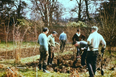 Tree nursery, Gough Park, 1969(?)
Keywords: trees