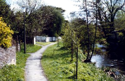 Turkey Brook
This slide is captioned "Two bridges, Turkey Brook", though bridges are not evident in the picture. Can anyone identify where exactly the picture was taken?
Keywords: streams;footpaths;bridges;Bulls Cross