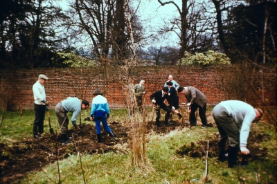 Tree nursery, Gough Park, 1969(?) 
Keywords: trees