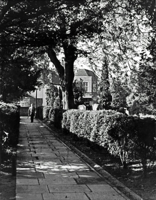 Holly Walk, by St. Andrew's churchyard
Print entitled "Autumn sunshine" was exhibited at the Enfield Camera Club annual exhibition, April 1975.
Keywords: footpaths;churchyards;trees