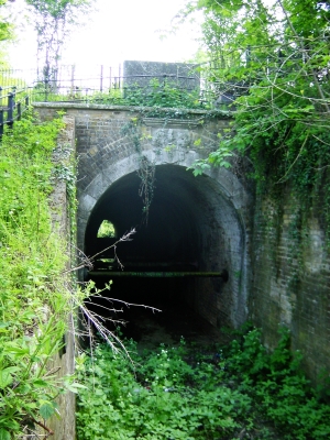 Clarendon Arch, Bush Hill
Bult in 1786, the arch ring of Portland stone bears a fine shield of arms with mantling helm and the crest of Myddelton, and the inscription "This arch is at the end of a long, barrel-vaulted brick tunnel which carries the Salmons Brook beneath the New River". Above the north-west side of the tunnel is a stone with the inscription: "This bank of earth was raised and formed to support the Channel of the New River. And the frame of timber and lead which served that purpose 173 years was removed and taken away. MDCCLXXXVI Peter Holford, Esquire, Governor". - [i]Treasures of Enfield[/i], p.119.
Keywords: New River;rivers and streams;Grade II listed;tunnels