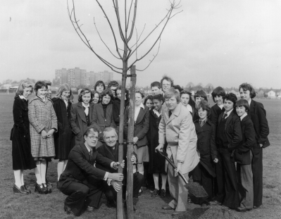 National Tree Week, 1976 
Bryan Davis, MP for Enfield North, planting a tree in Albany Park
Keywords: parks;trees;events;LC6