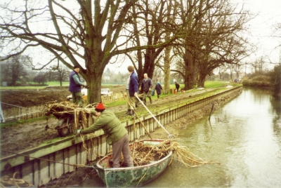 New River Loop restoration - saving iris plants
A team from Groundforce unloading irises from boat to barrow and then to Carr's Basin for temporary storage.
Keywords: Carrs Basin;boats;flora and fauna;flowers;New River Loop;Groundforce;LP2