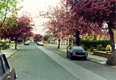 Fillebrook Avenue, May 1985
Keywords: houses;roads and streets;trees