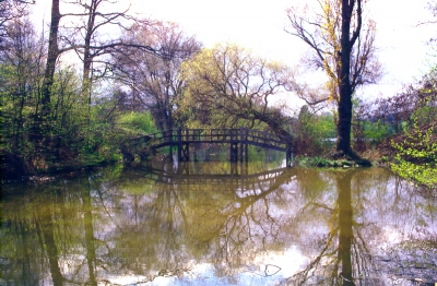 Trent Park lake and bridge
Keywords: bridges;lakes