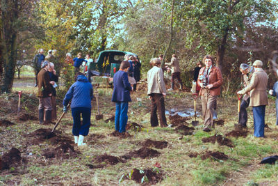 Portcullis Lodge. Tree planting, 1977
Keywords: 1970s;Enfield Preservation Society;EPS;trees