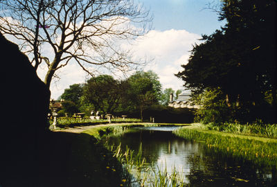 The New River at Myddelton House, early 1960s
This part of the loop of the New River was subsequently filled in and grassed over.
Keywords: 1960s;New River;gardens