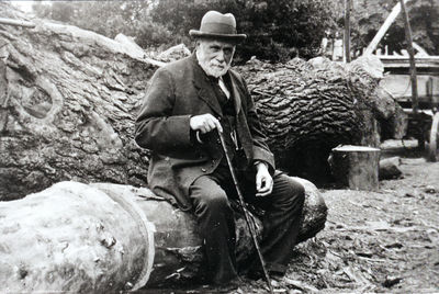 Mr George Halsey in his timber yard, Baker Street
Owner of factory making cricket bats, tennis rackets and hockey sticks. Timber merchants and motor engineers.
Keywords: 1900s;industry;factories;people;sports;timber