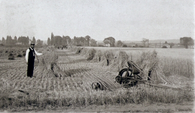 Plantation Farm, Enfield Lock
Also known as Welche's Farm. Picture shows Josiah Coxshall in harvest field.
Keywords: farms