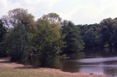 Trent Park lake
Keywords: lakes;parks