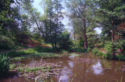 Trent Park water garden
Keywords: gardens