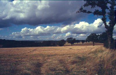 Green Belt near Royal Chase Hotel
Keywords: green belt;farms;landscape