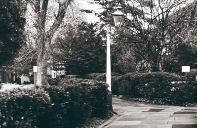 Holly Walk
Threatened by development and protected by Save Enfield Campaign. Echibition caption: 'A peaceful scene - Holly Walk. And to the right of the picture can be seen a notice erected by the Friends of St. Andrew's Parish Church, who have organised a petition against the Ring Road plan. It reads - "This is where the proposed ring road will run"'. Image was used in [i]Fighting for the future[/i], p.37.
Keywords: footpaths