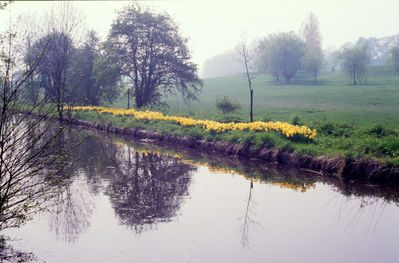 New River Loop
Daffodils planted with EPS sponsorship.
Keywords: 1980s;flowers;New River Loop