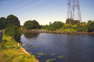 Rammey Marsh, June 1983
By the River Lea Navigation
Keywords: 1980s;canals;open spaces