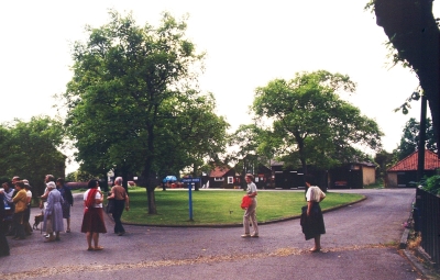 Walnut trees outside British Waterways maintenance depot, june 1983
On walk around Enfield Lock.
Keywords: 1980s;trees;walks