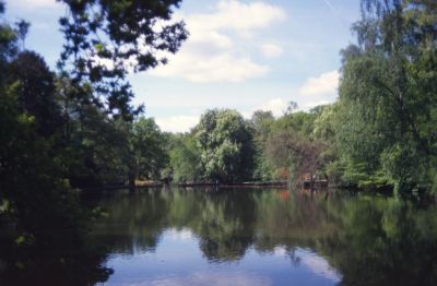 Whitewebbs Park, lake
Keywords: lakes;parks