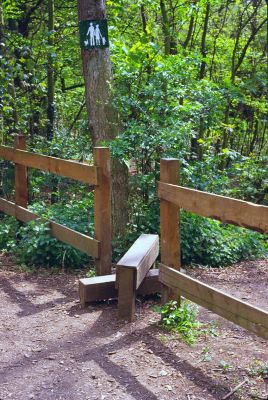 Stile, Flash Lane, Whitewebbs
With sign showing that the route is available for adults, children and dogs.
Keywords: footpaths;stiles