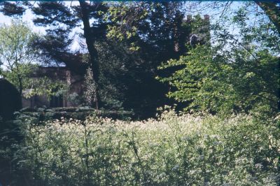 St. Andrew's churchyard
On proposed ring road route
Keywords: 1970s;churchyards;St Andrews Church