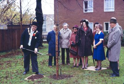 National Tree Week, 1984
Mayor John Jackson planting a tree, 17th November 1984 
Keywords: 1980s;events;mayors;trees