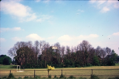 Portcullis Lodge site, 1977
Showing trees affected by Dutch Elm Disease
Keywords: 1970s;trees