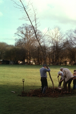 Tree planting at Jesus Church on Silver Jubilee Day, 19th March 1977
Keywords: 1970s;trees;LC6