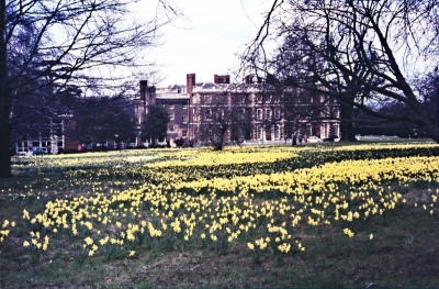 Daffodils at Trent Park house
1968
Keywords: 1960s;flowers;historic houses