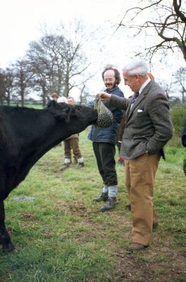 South Mimms, April 1978
Stuart Mills, Wally Woodfield and a cow
Keywords: cattle