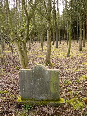 Potters Wood in March 2016 
Keywords: LC6;trees;events;1990s;memorials