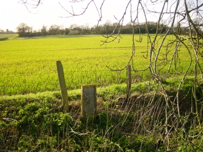 Plaque marking the Ridgeway end of the Jubilee Footpath, March 2016
Keywords: 1970s;footpaths;LC4;plaques;signs