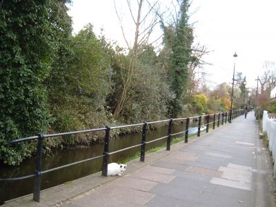 River View, Railings and Bridges (3)
Keywords: locally listed;Chase Side;railings;bridges;New River Loop