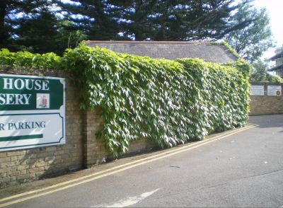 Forty Hill. Clock House: boundary wall.
Keywords: walls;locally listed;Forty Hill