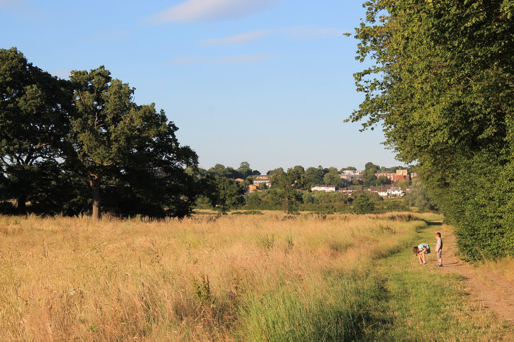 green belt land on the former enfield chase